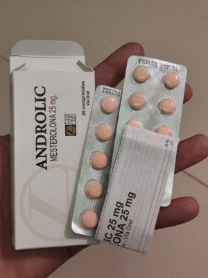 PROVIRON 20CP/25MG - LANDERLAN