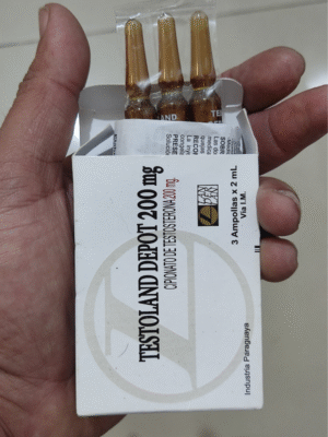DEPOSTERON 3 AMPOLAS DE 2ML - LANDERLAN
