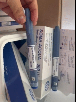 CANETA GH SOMA ACQUA 300UI