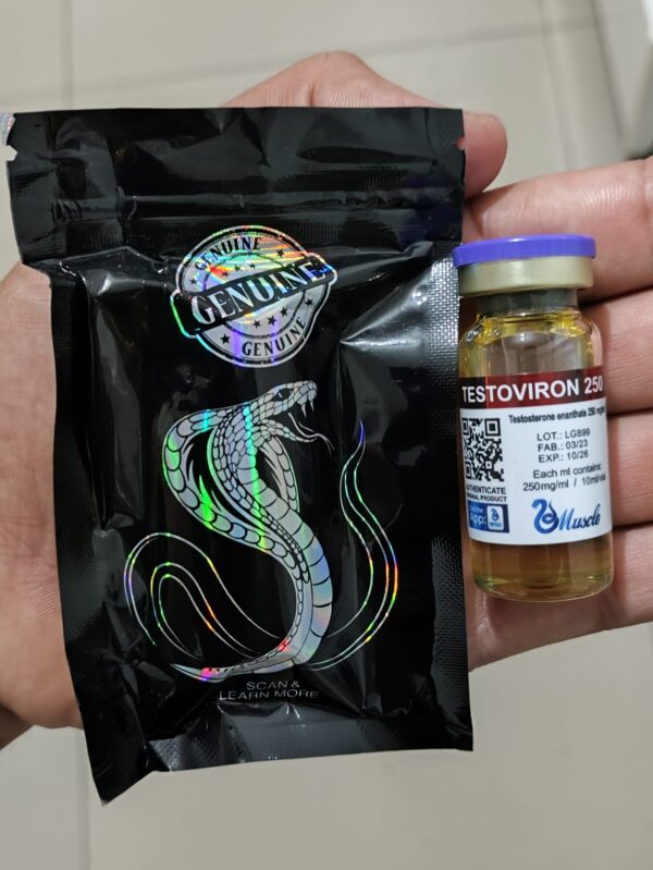 ENANTATO DE TESTO 10ML/250MG - MUSCLE PHARMA
